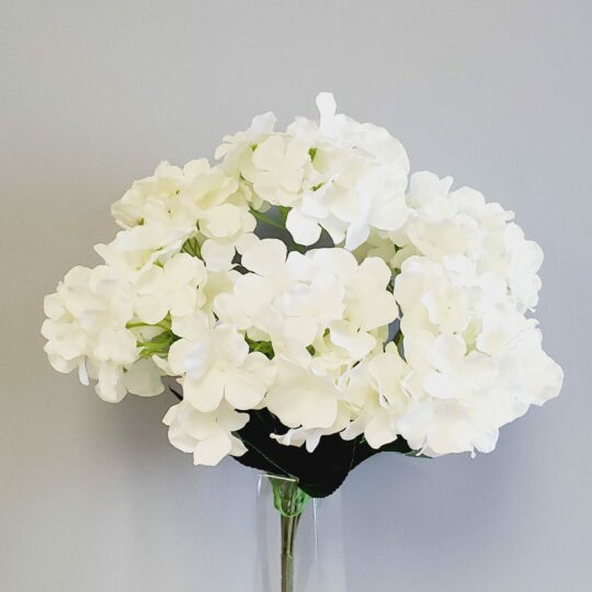 Hydrangea 18" Bush x7 - Cream