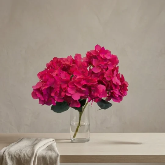 Hydrangea Bush x7  18" - Hot Pink