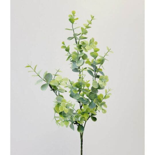 Eucalyptus Spray 24" - Green