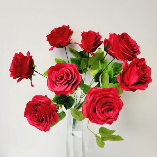 Rose 17" Bush x9  - Red