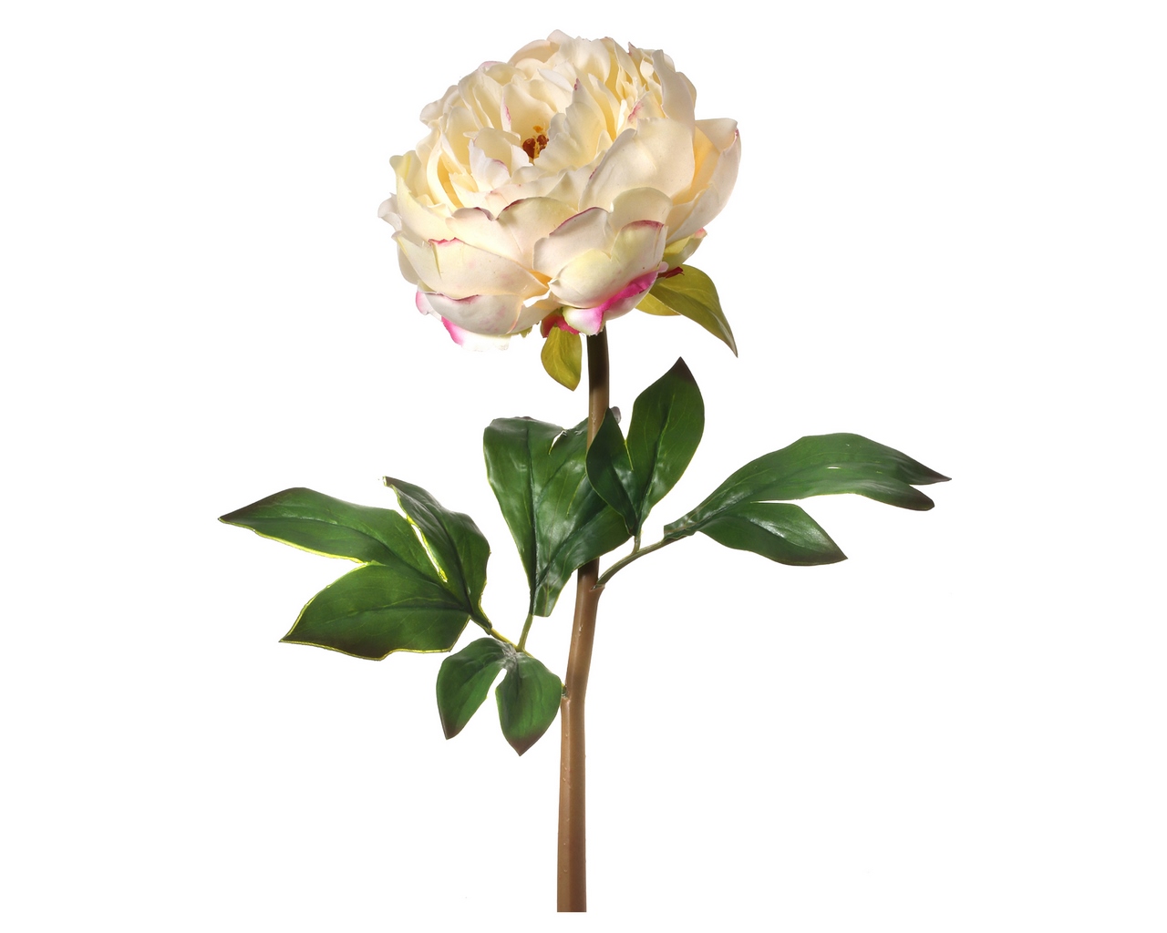 The Perfect Peony Real Touch Forever Flower 22 Stem - Blush
