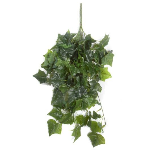 UV Protected Holland Ivy Bush  30" L - Green