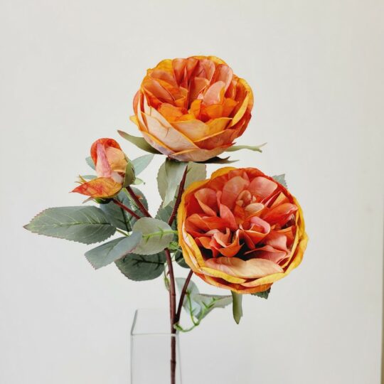 Austin Rose 22" Spray x2 with Buds - Orange