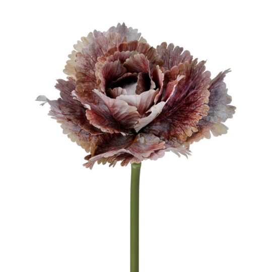 Autumn Cabbage 10" Stem - Purple