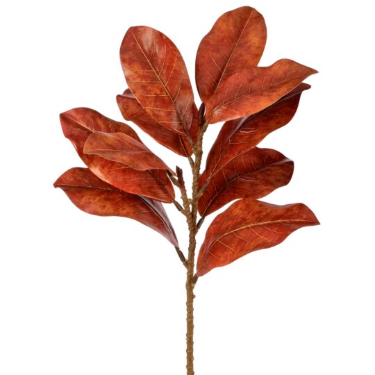 Magnolia Leaf Spray 23" - Terracotta