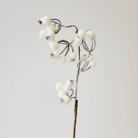 Weatherproof Sugar Berry 22" Spray - Cream