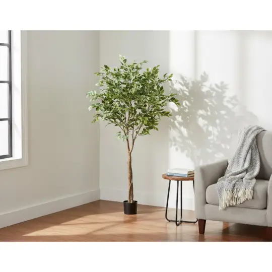 UV Protected Potted 6' Ficus Tree - Green