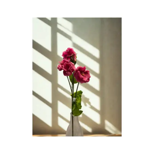 Butterfly Ranunculus Spray x3with Bud 27"-Hot Pink