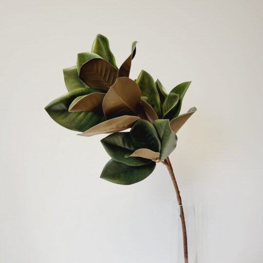 Magnolia Leaf 32" Spray - Green/Brown