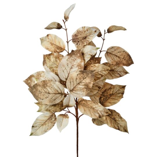 Salal Leaf Stem 20" - Cream/Brown