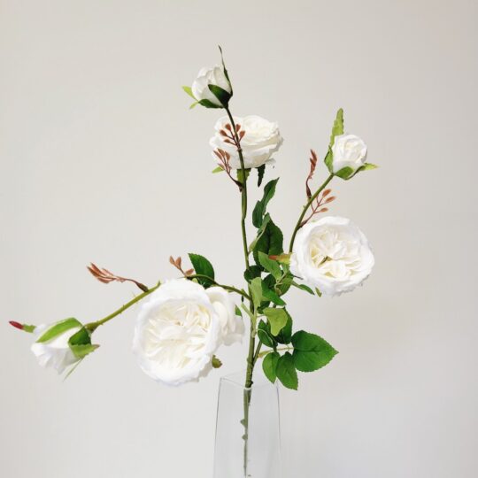 Austin Rose 26" Spray x3 with Buds - Cream