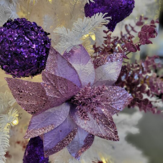 Holiday Purple