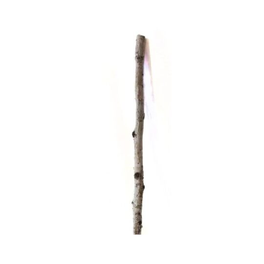 Birch Pole 21" - White