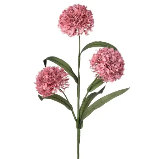 Wild Berry Allium x3 Spray 20" - Pink