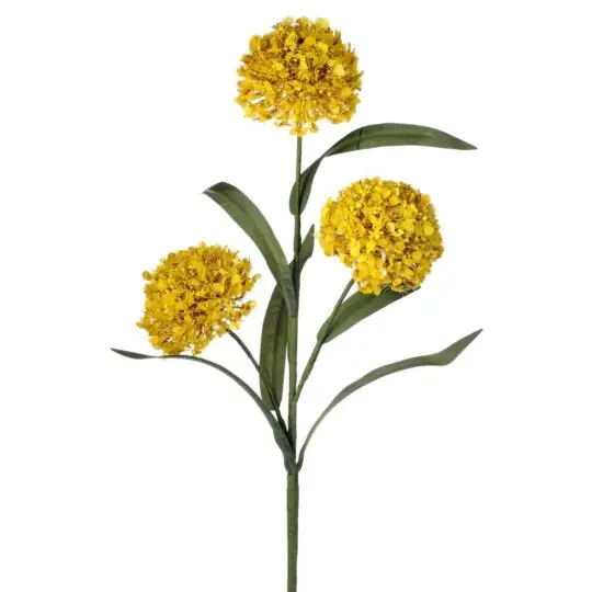 Wild Berry Allium x3 Spray 20" - Yellow