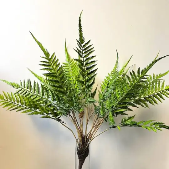 Upright Alp Fern 33" Bush - Green