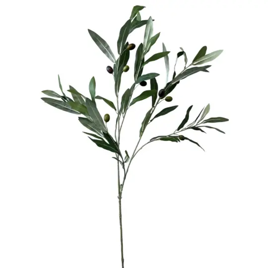 Olive Leaf with Olives 50" Spray - Green