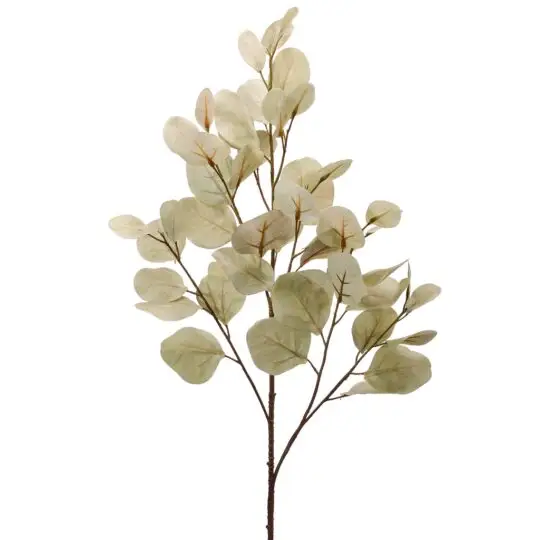 Bleached Silver Dollar Eucalyptus 34" Spray -Light / Green