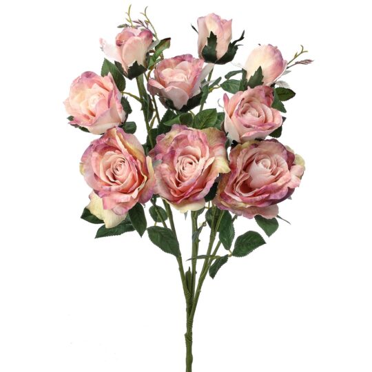 Garden Rose x9 Bush 29" - Pink/Cream/Green