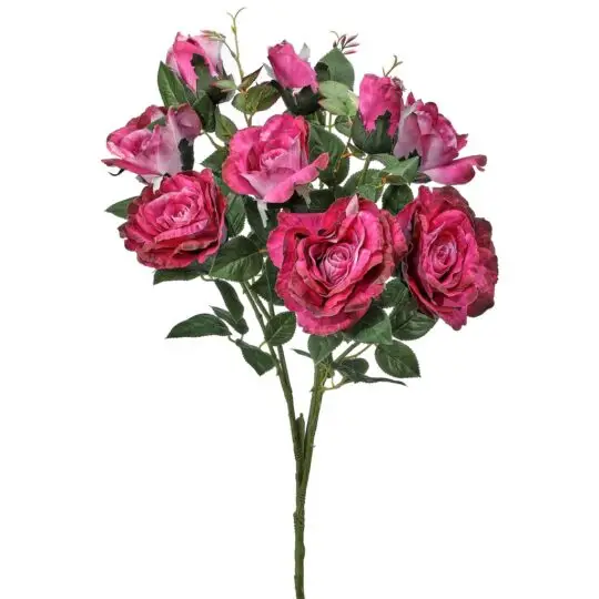 Garden Rose x9 Bush 29" - Magenta