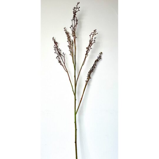 Seeded Spray 46" - Brown/Green