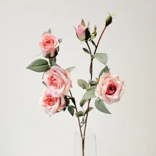 PRINCESS ROSE SPRAY x3 WITH BUDS 25" - PINK