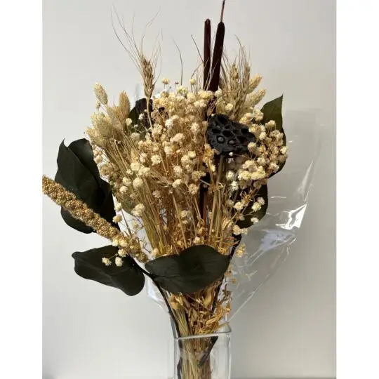 Preserved Fall Gypso/Pod 26" Bouquet - Cream/Brown