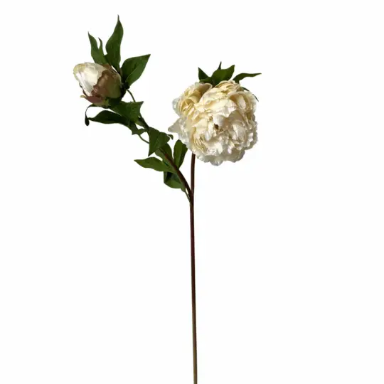 UV Protected Peony 30" Spray with Bud - Cream