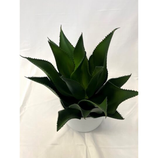UV Protected Foxtail Agave 18" Plant - Green
