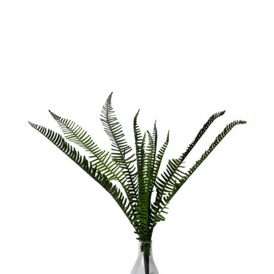 UV Protected Fern 26" Bush - Green