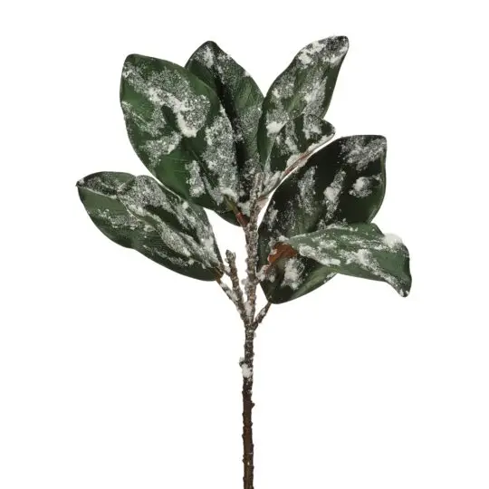 Snow Flocked /Glitter Magnolia Leaf 20" Spray - Green/Brown