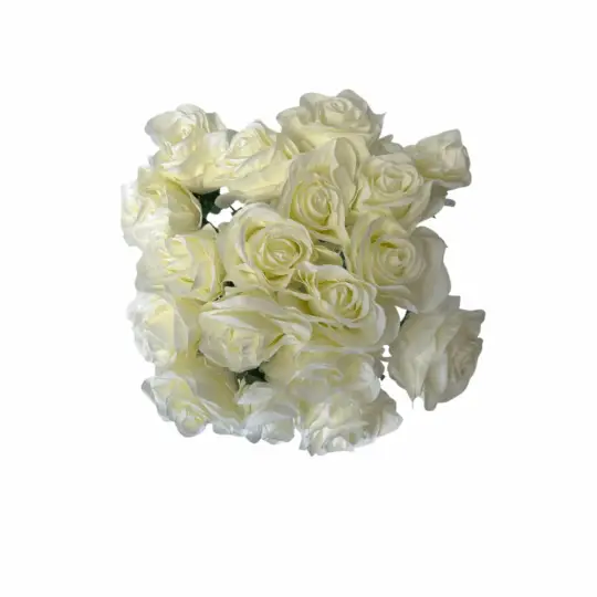 15" ROSE BUSH x18 - Cream