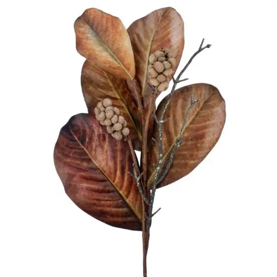 Magnolia Leaf/Berry 25" Spray - Brown