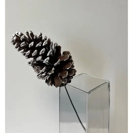 Large 5" Pine Cone on 6" Pick - Brown/White tip