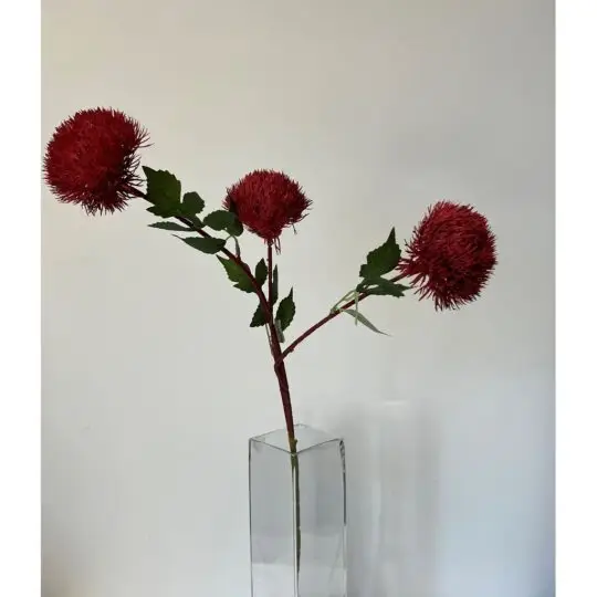 Pom Spray 28" x3 heads - Red