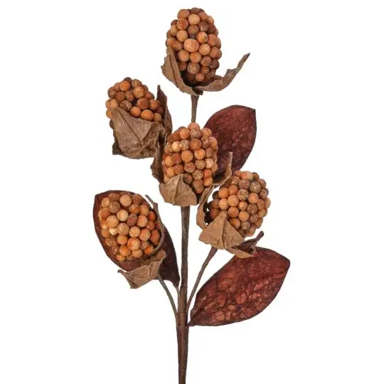 Pod Berry 18" Spray - Brown