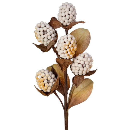 Pod Berry 18" Spray - Cream/Brown