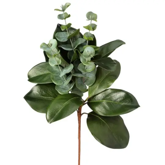 Magnolia/Eucalyptus Spray 20" - Green
