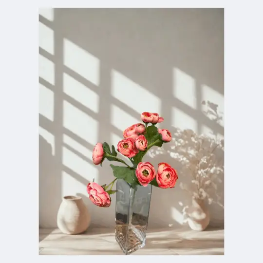 Ranunculus Spray 21.5" - Pink