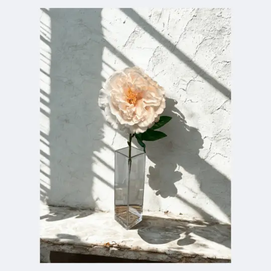 Real Touch Peony Stem 24" - Blush