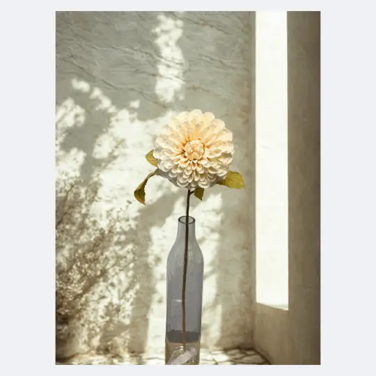 Dried Look Dahlia Spray 29" - Cream