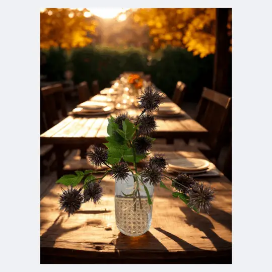 Rambutan Bundle x3 15" - Purple