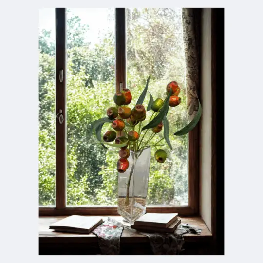 Pod Bundle x3 22" - Green/Red