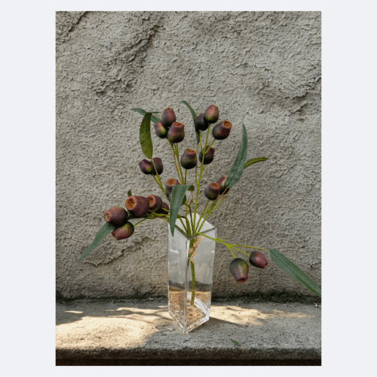 Pod Bundle x3 22" - Purple/Green