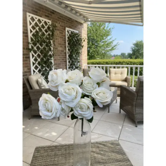 Rose 16"  Bush x10 - Ivory