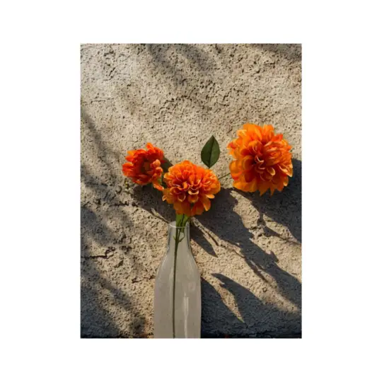 Dahlia Spray x2 with Bud 29" - Orange