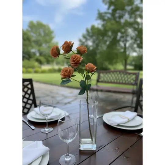 Princess Rose 25" Spray x6  - Apricot