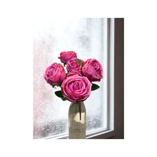 Rose 17"  Bush x7  - Hot Pink