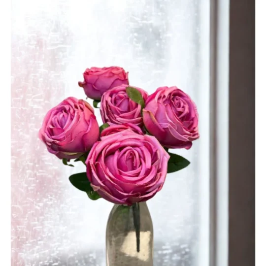 Rose 17"  Bush x7  - Hot Pink