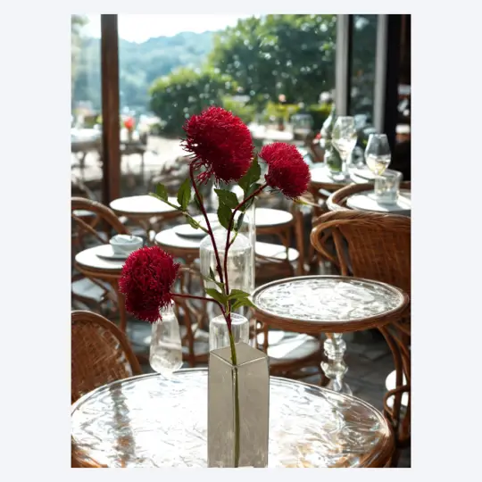 Pom Spray 28" x3 heads - Hot Pink